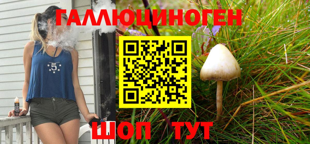 Галлюциногенные грибы мицелий Прокопьевск
