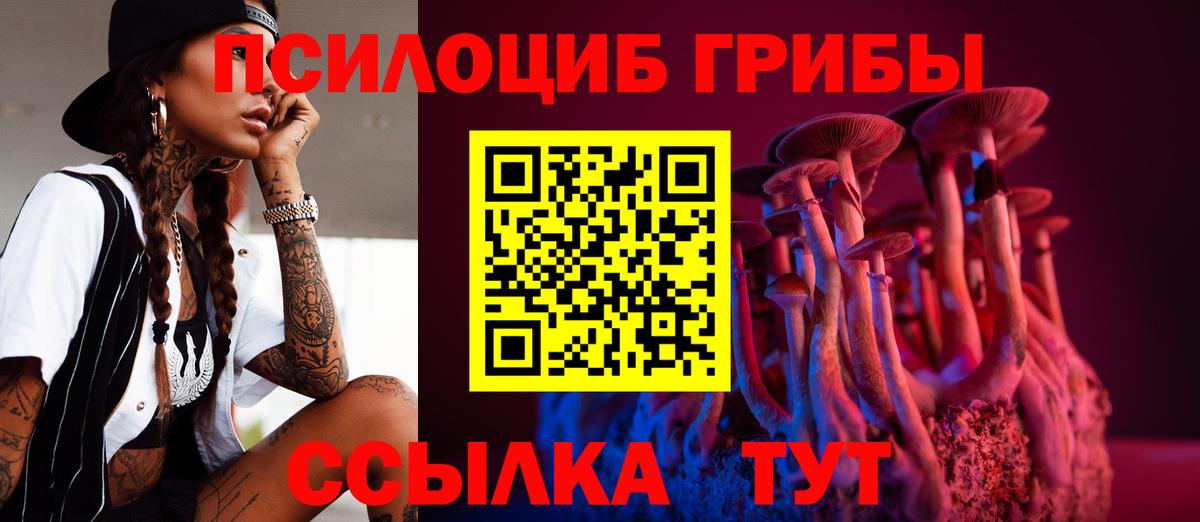 Галлюциногенные грибы GOLDEN TEACHER  Галлюциногенные грибы Psilocybine cubensis  Прокопьевск  Вход с VPN 